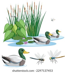 Duck Swimming in Pond with Dragonfly illustration