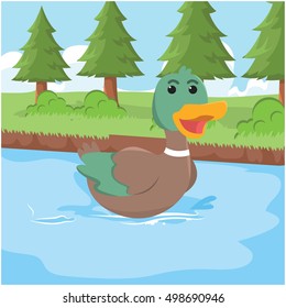 duck swimming vector illustration design