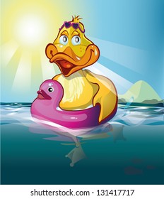 duck swims