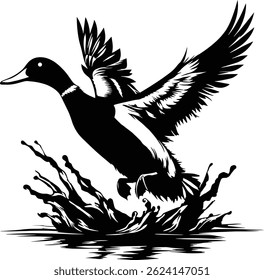 Duck taking flight over water