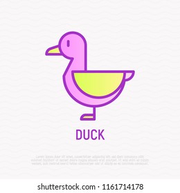 Duck thin line icon. Modern vector illustration of bird.