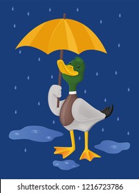 Duck with umbrella