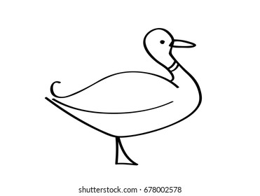 Duck. Vector