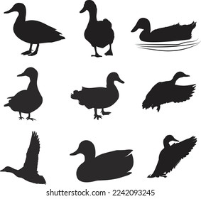 Duck vector art icon and silhouette design.This is an editable vector file. 
you can edit and change the color with this eps file. 
