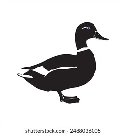 A Duck vector art illustration.