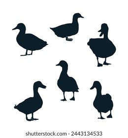 Duck Vector Art Silhoutte Graphics