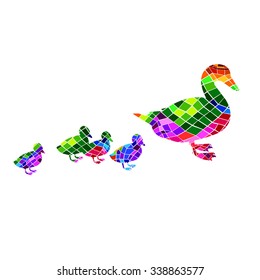 duck vector bird background animal beak cartoon cute nature illustration graphic drawing white