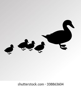 duck vector bird background animal beak cartoon cute nature illustration graphic drawing white