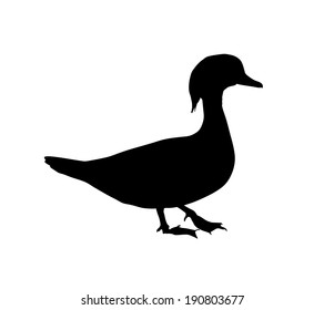 Duck vector black silhouette isolated on white background.