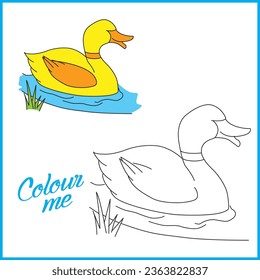 Duck vector Colouring book for kids