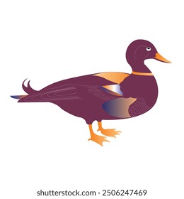 Pato Vector lindo de dibujos animados silueta página negra para los niños. Ilustración vectorial de pato flotando en la silueta del icono del agua