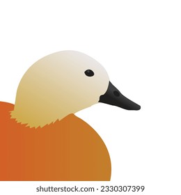 Duck vector drawing. Ruddy shelduck illustration vector. Duck bird icon. Water bird illustration.