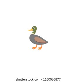 Duck vector flat illustration