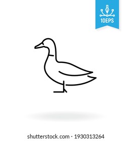 Duck vector icon. Drake, wildfowl sign. Bird illustration.