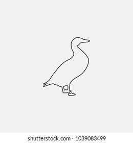 duck vector icon illustration. bird icon vector
