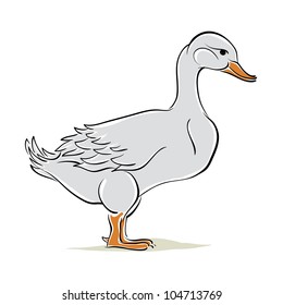 Duck vector illustration.