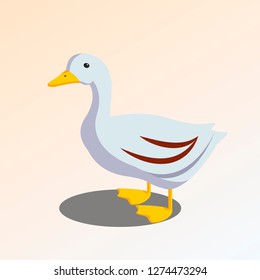 Duck vector illustration