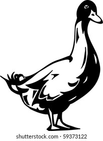 Duck Vector Illustration