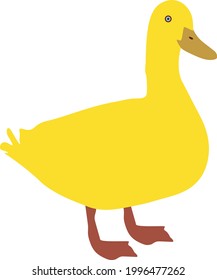 Duck vector illustration art design