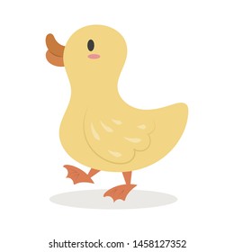 Duck vector illustration cartoon. Farm animal. Cute duckling pastel cartoon. 