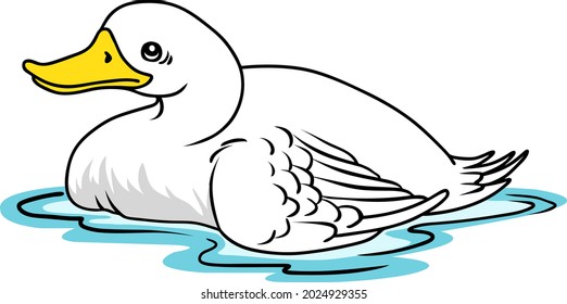 Duck vector illustration isolated white background