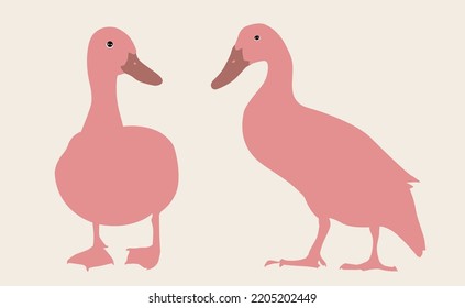 duck. Vector illustration isolated on background.the figure shows the duck.