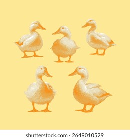 Duck, duck vector, duck illustration, line drawing on yellow background.