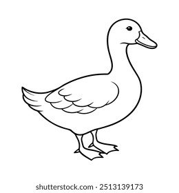 duck vector illustration, this is a editable file.