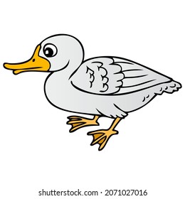 duck vector illustration,isolated on white background,top view