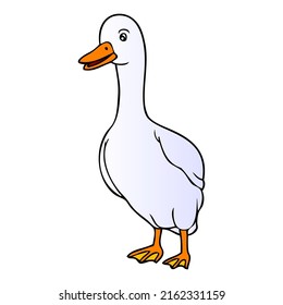 duck vector illustration,isolated on white background,top view