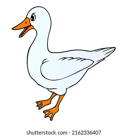duck vector illustration,isolated on white background,top view