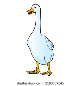 duck vector illustration,isolated on white background,top view