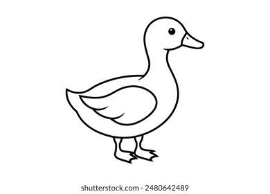 Duck Vector Images and  Illustrations for Free Download