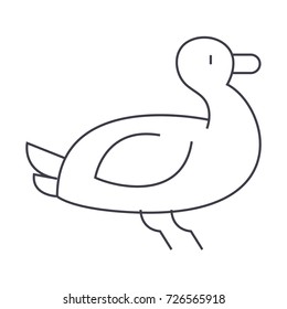 duck vector line icon, sign, illustration on background, editable strokes
