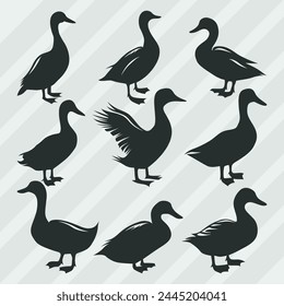 Duck vector silhouettes bundle, Set of various pose duck collection