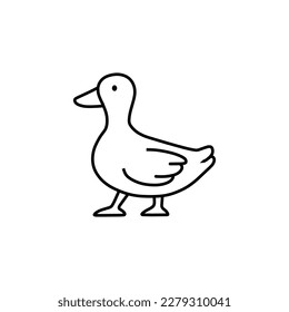 the duck walks forward with style