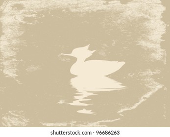 duck in water on grunge background, vector illustration