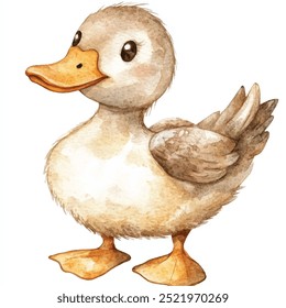 Clipart de acuarela de pato aislado fondo blanco 