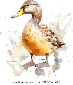 Duck watercolor illustration. Hand drawn underwater element design. Artistic vector marine design element. Illustration for greeting cards, printing and other design projects.