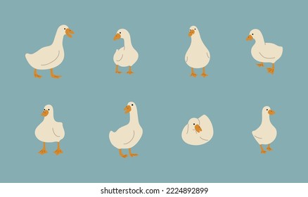 blanco de pato 2 lindo sobre un fondo azul, ilustración vectorial