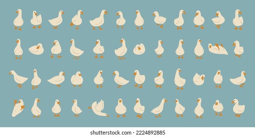 duck white collection 1 cute on a blue background, vector illustration