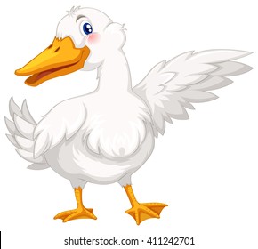 Duck with white feather illustration