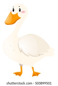 Duck with white feather illustration