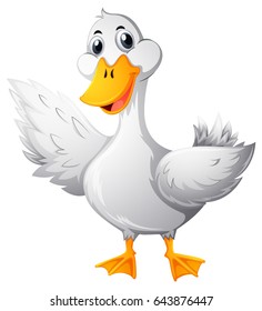 Duck with white feather illustration
