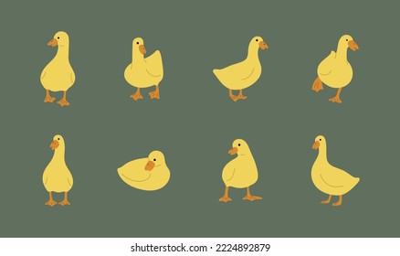 duck yellow 1 cute on a green background, vector illustration