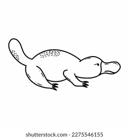 Duckbill. Animals of Australia. Vector doodle illustration. Sketch.