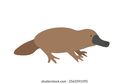 Duck-billed platypus cartoon clipart. Platypus vector illustration in flat style. Hand-drawn wild animal concept