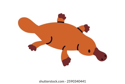 Duck-billed platypus, exotic Australian underwater mammal. Tropical endemic animal, wild fauna from Australia nature. Flat graphic vector illustration isolated on white background