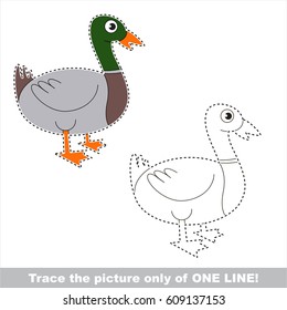 Duckling. Dot to dot educational game for kids, the one line tracing page.