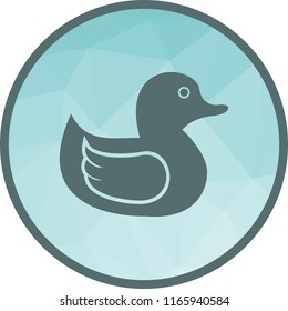 Duckling, duck, bird